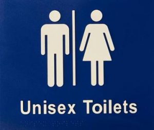 Unisex Toilets Braille Sign - Blue/Silver