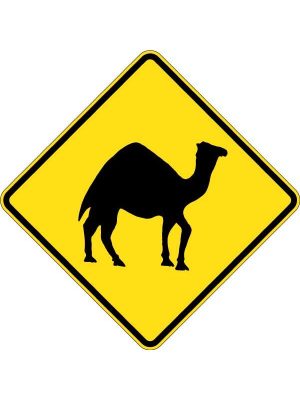 Camels Picto Sign