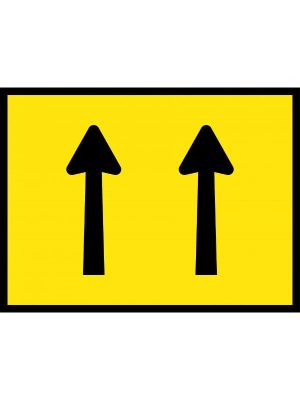 Lane Status 2 Lane with Magnetic T | Civil Products WA