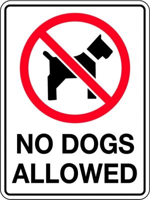 No Dogs Allowed