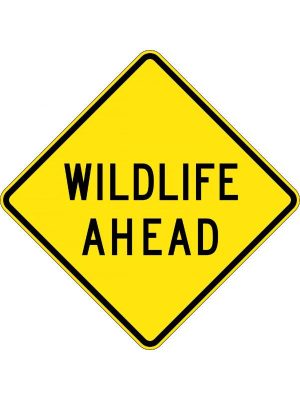 Wildlife Ahead
